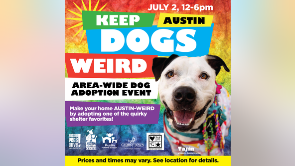 City-wide adoption event on July 2 celebrates 'weirdo' dogs in Austin shelters