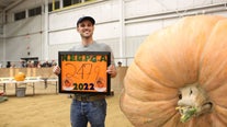 Nearly 2,500-pound pumpkin breaks Massachusetts fair record