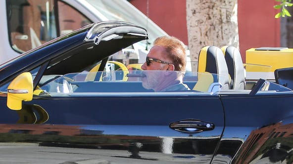 Arnold Schwarzenegger hits bicyclist in West LA: officials