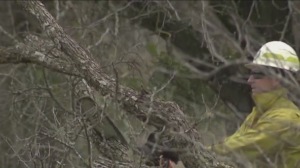 Williamson County begins park brush cleanup after Winter Storm Mara