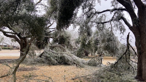 Texas winter weather photos: Ice accumulation causing issues