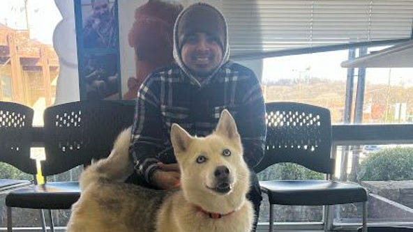 Dog reunited with owner 2,000 miles away thanks to microchip