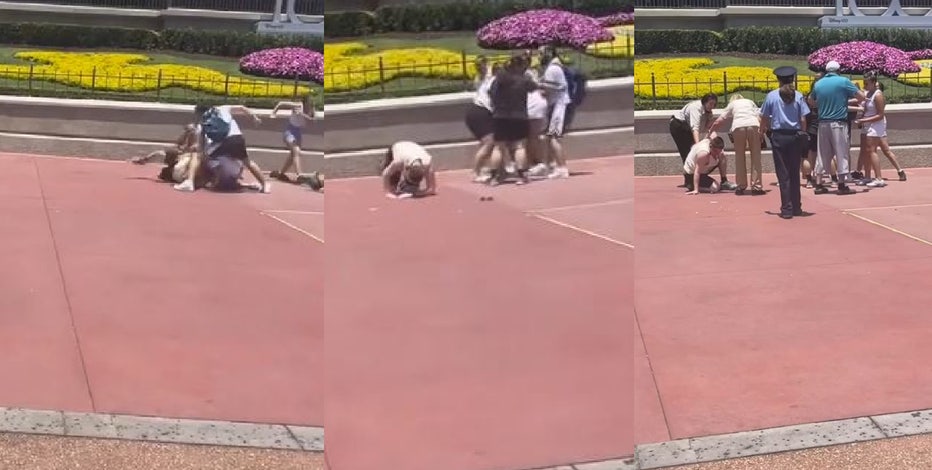 Walt Disney World fight video: Brawl at Magic Kingdom started over photo op disagreement