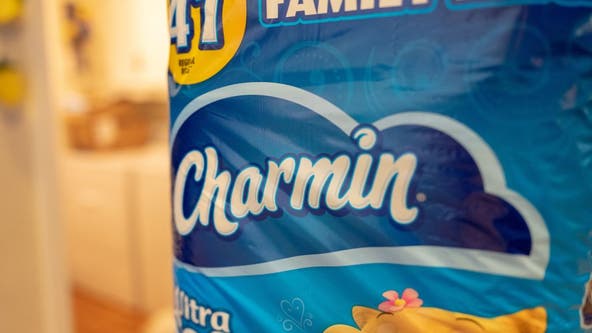 Charmin revolutionizes toilet paper design: A game-changer in bathroom comfort