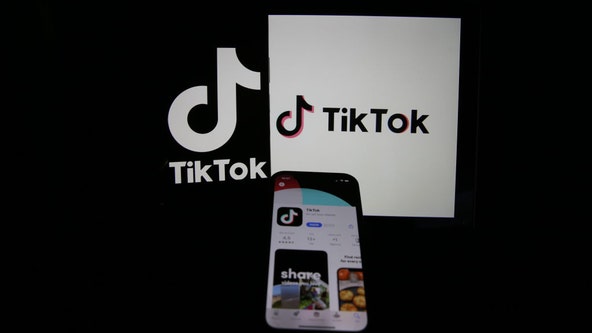TikTok testing paid, ad-free version on app: report