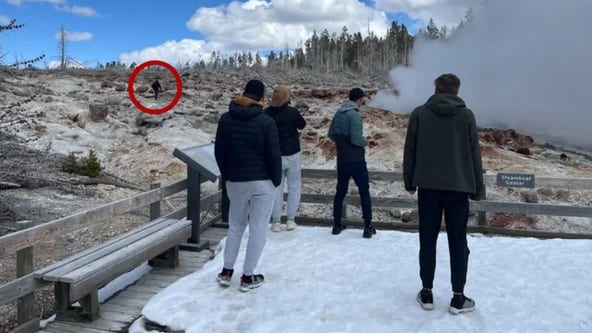 Yellowstone tourist sentenced to 7 days in jail over 'dangerous' caught-on-camera incident