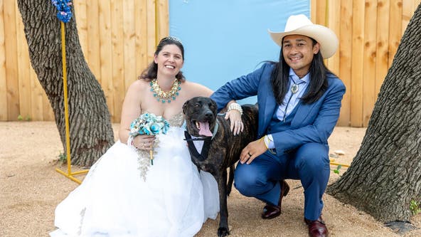 Formerly injured stray dog proudly walks his dad down the aisle in Round Rock wedding