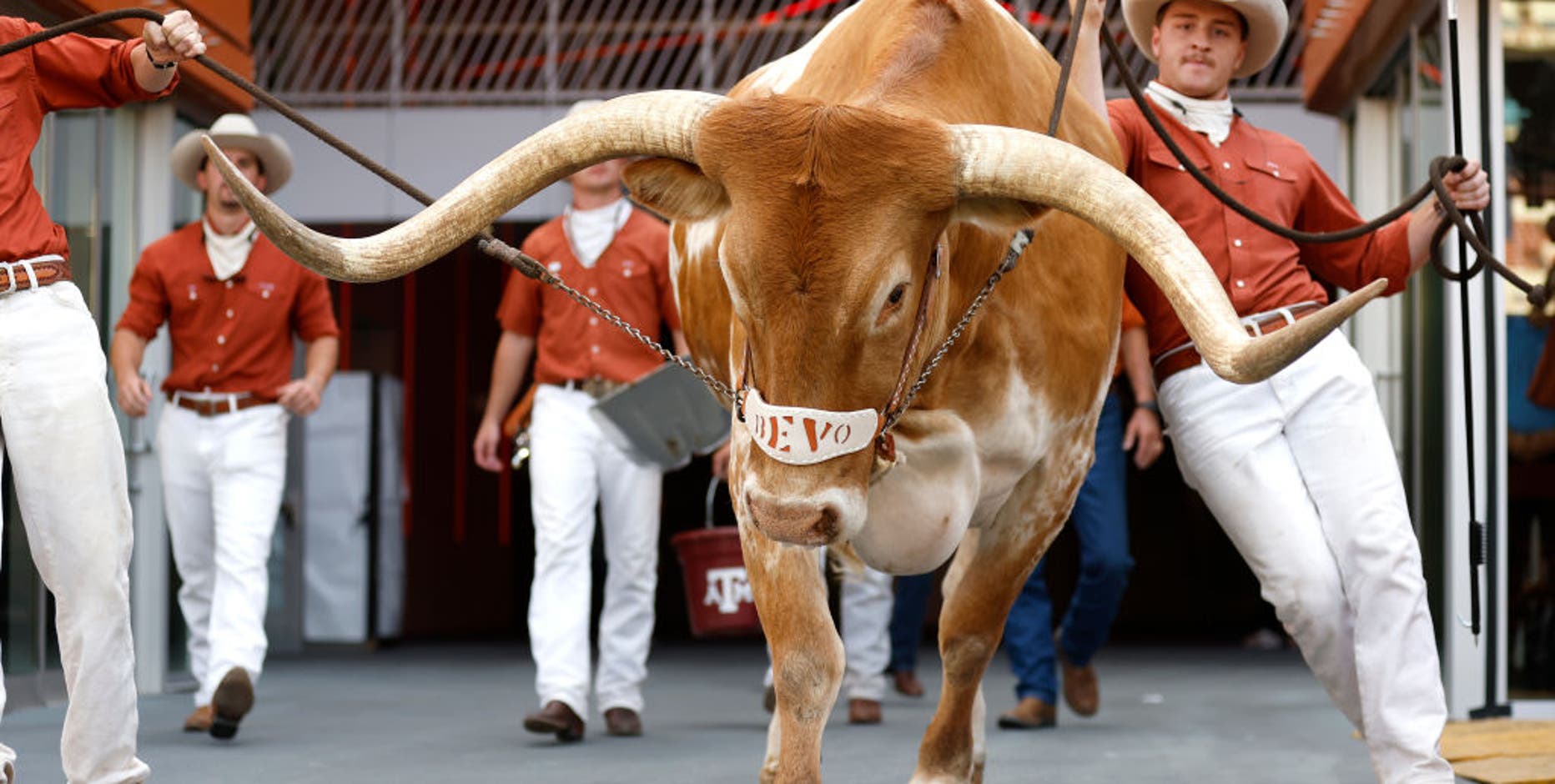 Texas' Bevo will not travel to Atlanta for SEC Championship game