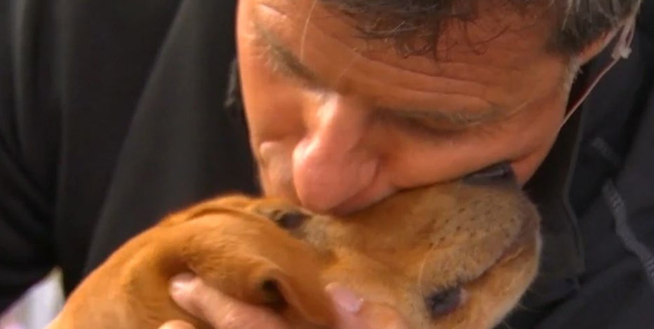 MN Wild dog 'Breezer' becomes fast friends with FOX 9 Anchor Randy Meier at the fair