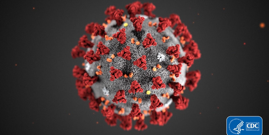 Coronavirus in Minnesota: 1 death, 169 cases