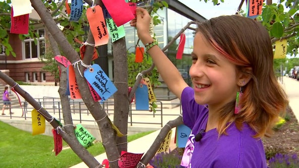 Kindness and positivity grow on Northfield girl's Gratitude Tree