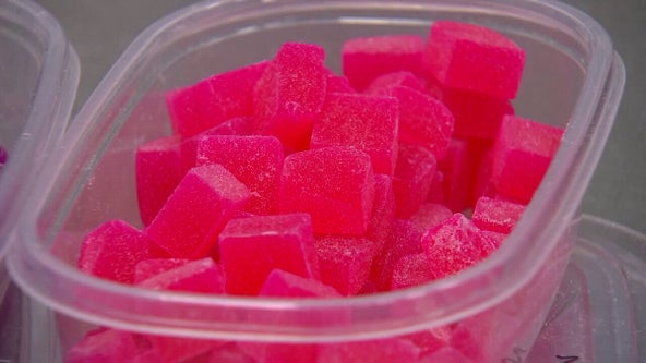 St. Cloud police seize 32 pounds of illegal THC gummies