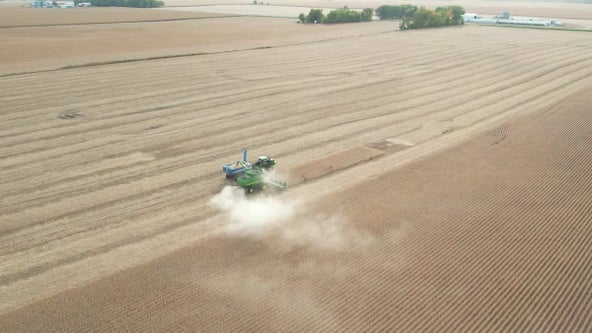 Farmers harvest crops after another dry growing season