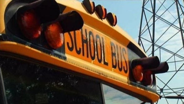 School bus struck by driver in Anoka County, driver cited
