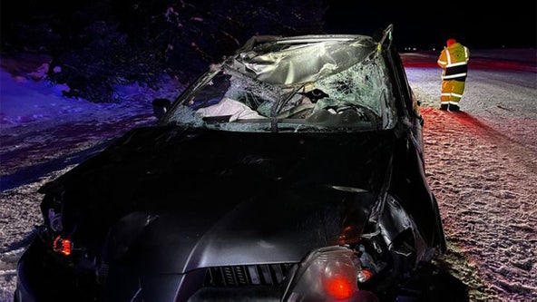 Family injured after car collides with moose in northern Minnesota