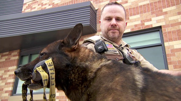 Different kind of Paw Patrol coming to end in Ramsey County