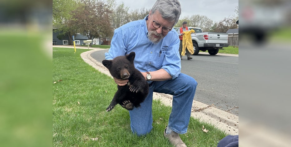 Black bear cub rescued from Elm Creek Park arrives at rehabilitation center