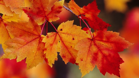 The fall equinox is here. What does that mean?