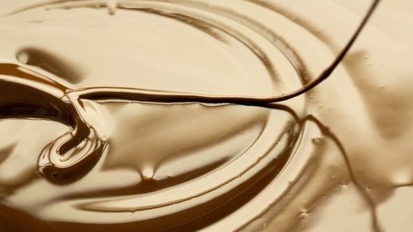 Minnesota chocolate company wins 2 awards at International Chocolate Awards