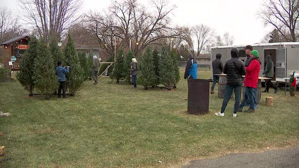 Minnesota tree lot provides Christmas trees to those in need