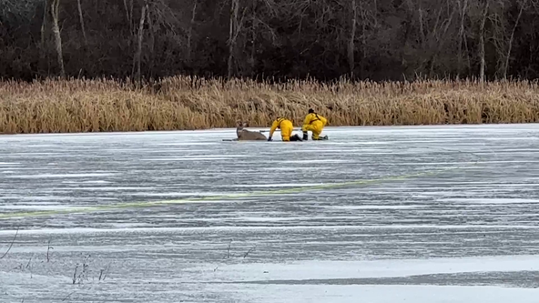 Deer rescued on thin ice by Prior Lake Fire Department
