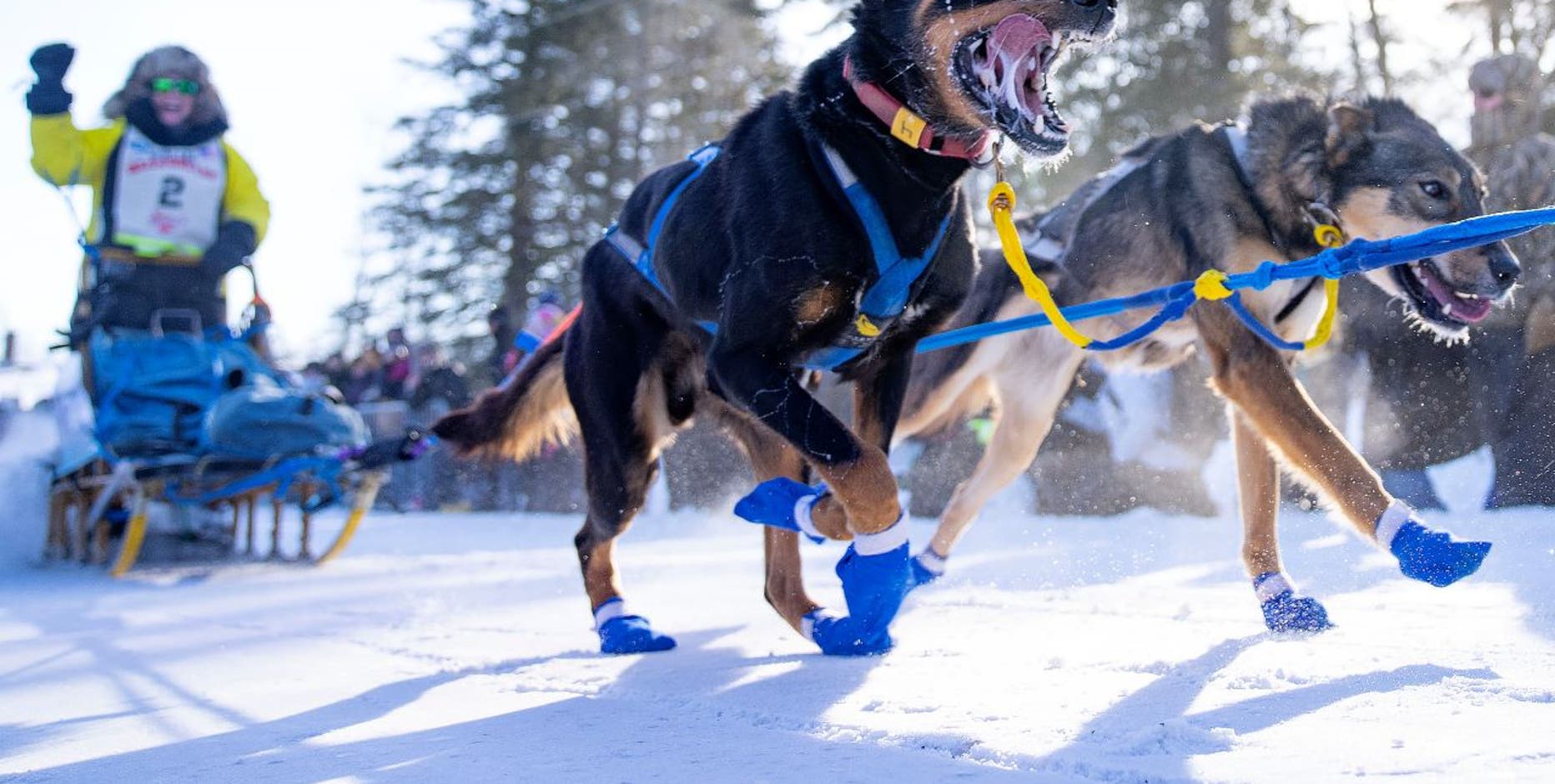 Winter events in Minnesota: What's still on, canceled and postponed