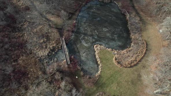 How has the warm winter affected plants in Minnesota?