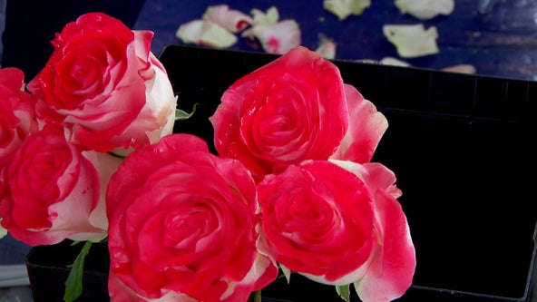 Burnsville shooting funeral: 4,000 roses prepped for memorial