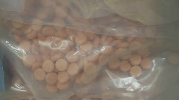 6,000 fentanyl pills seized in Mankato