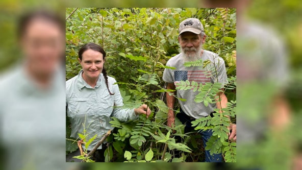 Rare plant found in Wisconsin after not being seen since 1911