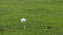 Mosquito-spraying helicopter hit by golf ball in Anoka County