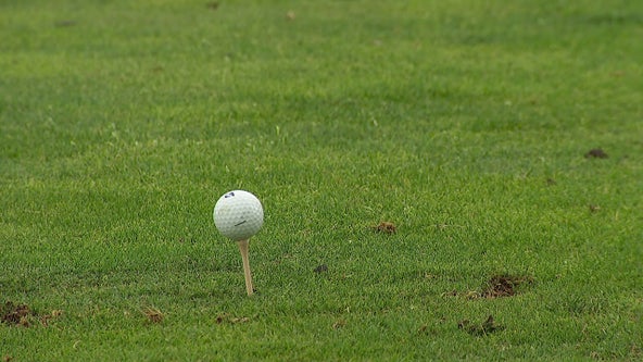 Mosquito-spraying helicopter hit by golf ball in Anoka County