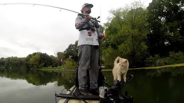 Cat swims to MN fisherman, now they're best friends