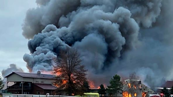 Minnesota Equestrian Center fire kills 2 horses, a cat