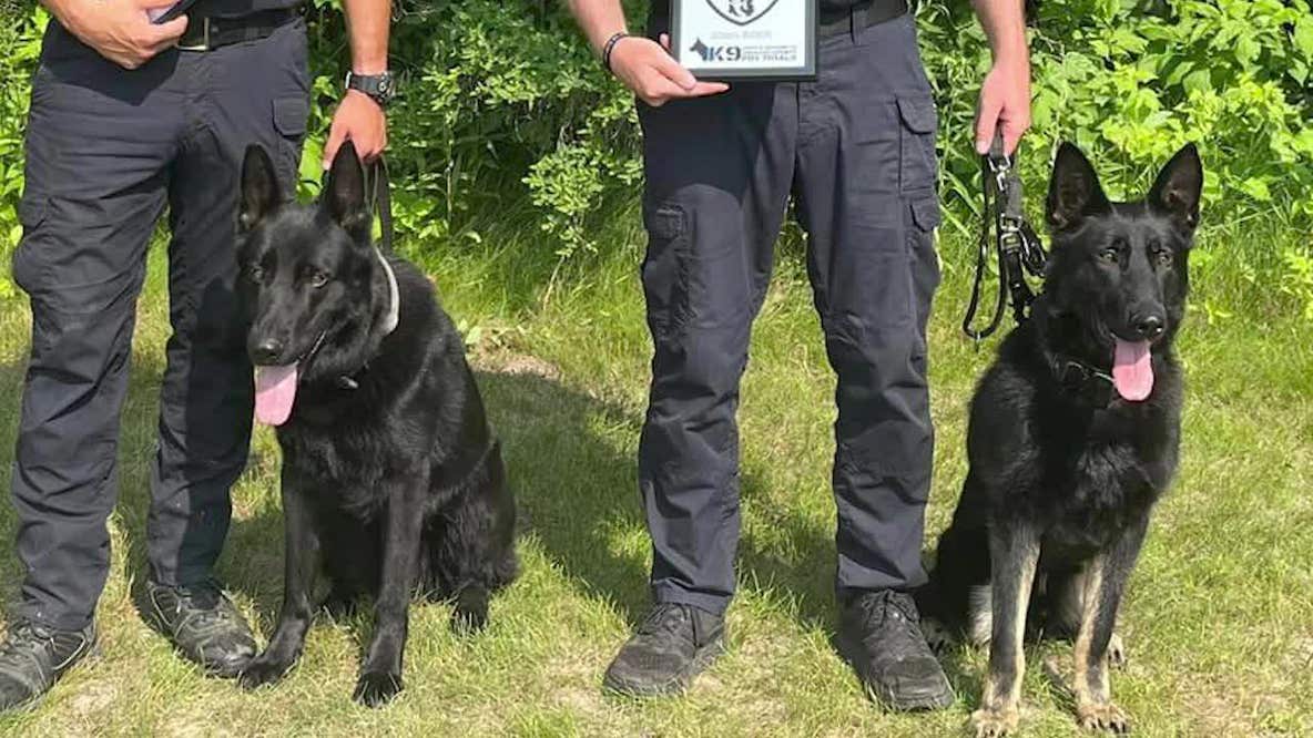 Minnesota prisons to get rid of most K-9 teams, retired trainer calls it 'travesty'