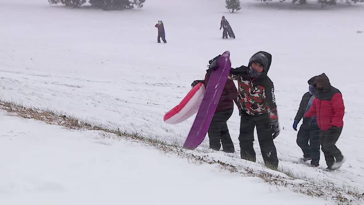 Minnesotans embrace snowy weekend with sledding and tree hunting