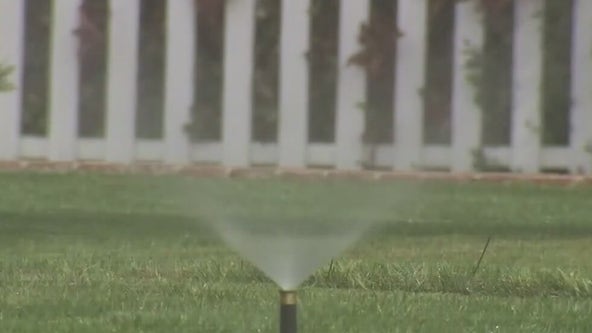 More than 4M LA County residents must suspend outdoor watering for 15 days: MWD