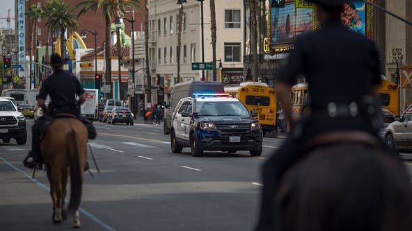 Funding approved to add more police patrol in Hollywood