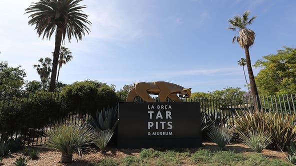 La Brea Tar Pits named among first 100 Geological Heritage Sites