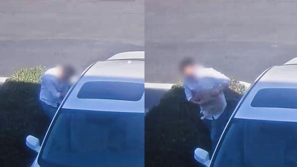 Man caught on camera stealing dog through car window in Irvine parking lot
