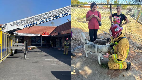18 dogs rescued after fire breaks out at Simi Valley shopping plaza