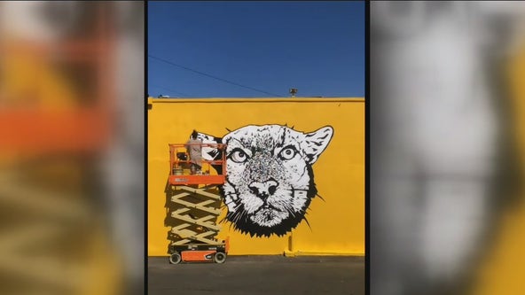 'Peace love and P-22' mural to be unveiled in Silver Lake