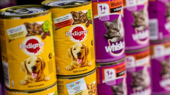 Pet food shortage at spcaLA shelters: 'Cupboards are bare!'