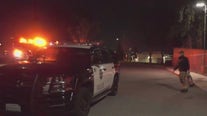 Dogs attack woman in Riverside