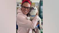 Livermore police reunite French bulldog with SoCal family - a year later