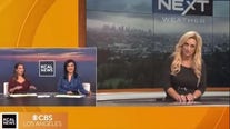 Terrifying clip of LA meteorologist collapsing on live TV goes viral