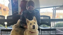 Dog reunited with owner 2,000 miles away thanks to microchip