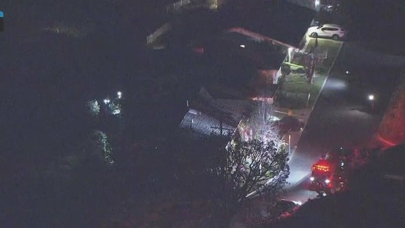 Pacific Palisades family displaced after hillside slips away behind home