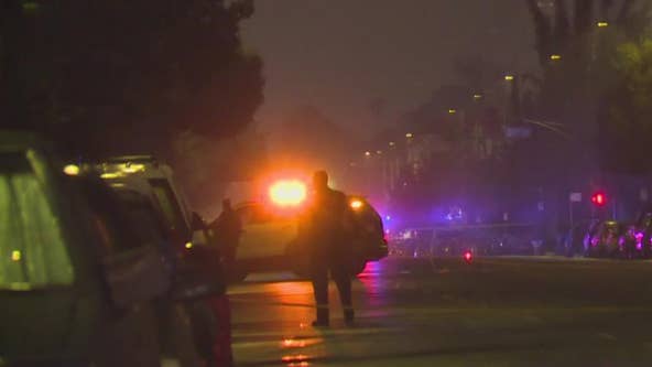LAPD investigating deadly South LA hit-and-run