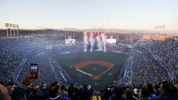 Dodgers proposal gone wrong: Fan gets tackled by security mid-proposal
